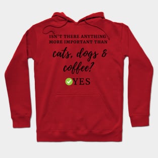 Isn't there anything more important than cats, dogs & coffee? Yes Hoodie